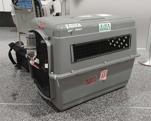 Ersatzkennel600