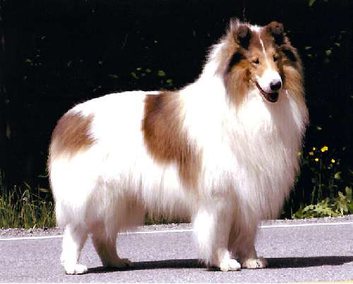 image001