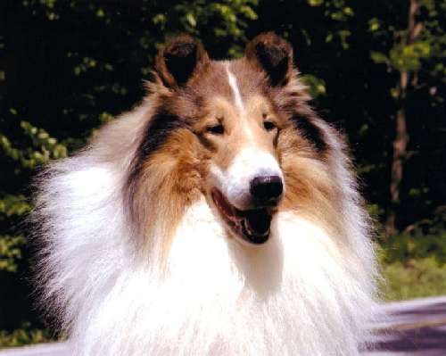 image002