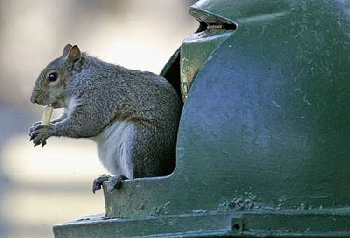 image027