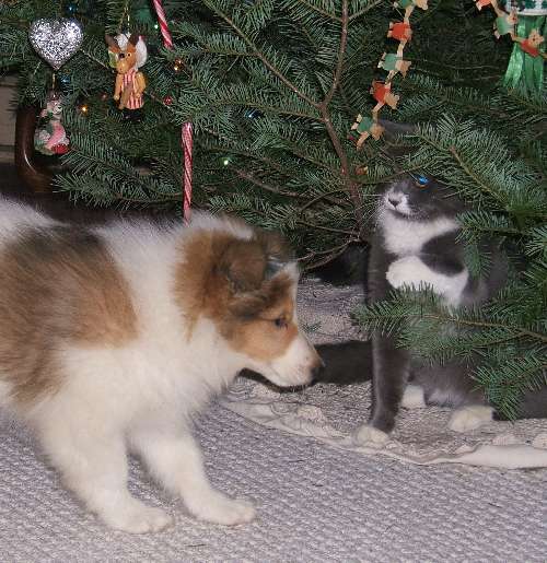 image040