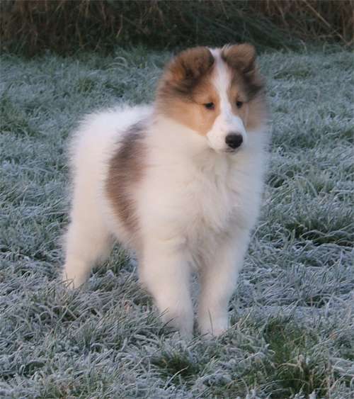 image044 2