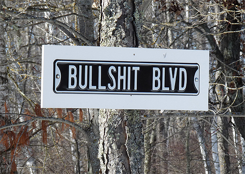 Bullshit