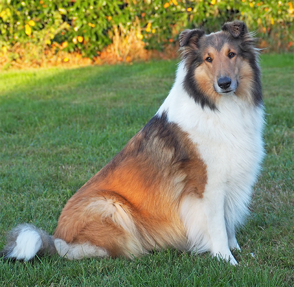 Jazlyn sitzend v re3 600