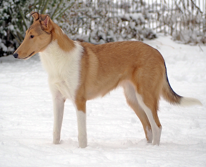 Yasmine 6 Monate 3 700